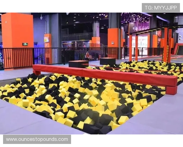 乐动体育蹦床的最新款式与技术创新，满足不同用户的多样化需求