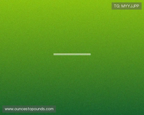 爱体育平台为用户打造互动交流的体育社区，分享运动心得与比赛体验