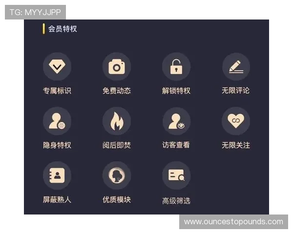 U体育VIP直营服务优势详解让你轻松掌握会员权益与专属特权